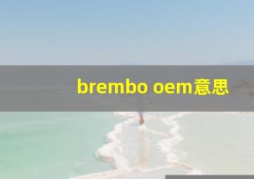 brembo oem意思